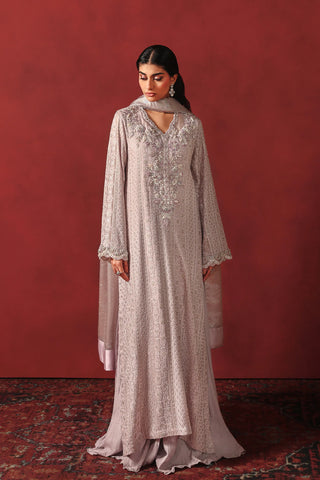 Chikankari Elegance (D-14)