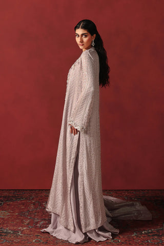 Chikankari Elegance (D-14)