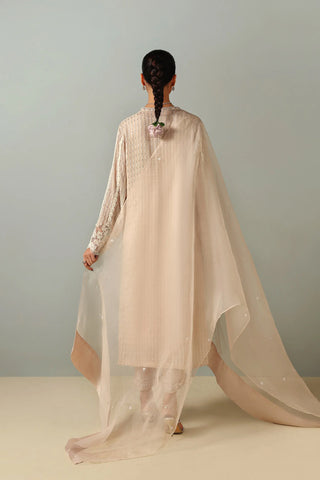 Nude Blush Pink Set (D-12)