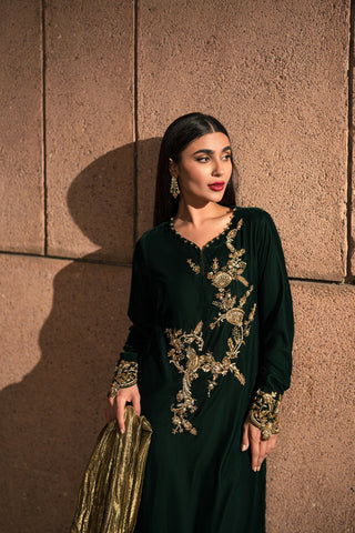 Luxury Velvet Kaftan Dress Designs in Pakistan Ammara Khan Luxury Velvet Kaftan Dress Designs in Pakistan Ammara Khan
