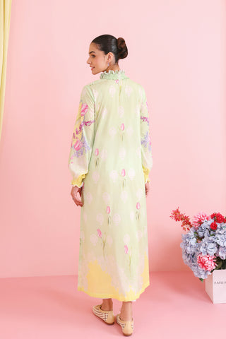 Tulips & Lemonade (D-06)