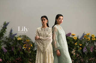 Lily-shop-now
