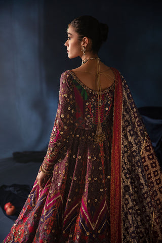 Classic Peshwas (D-15)