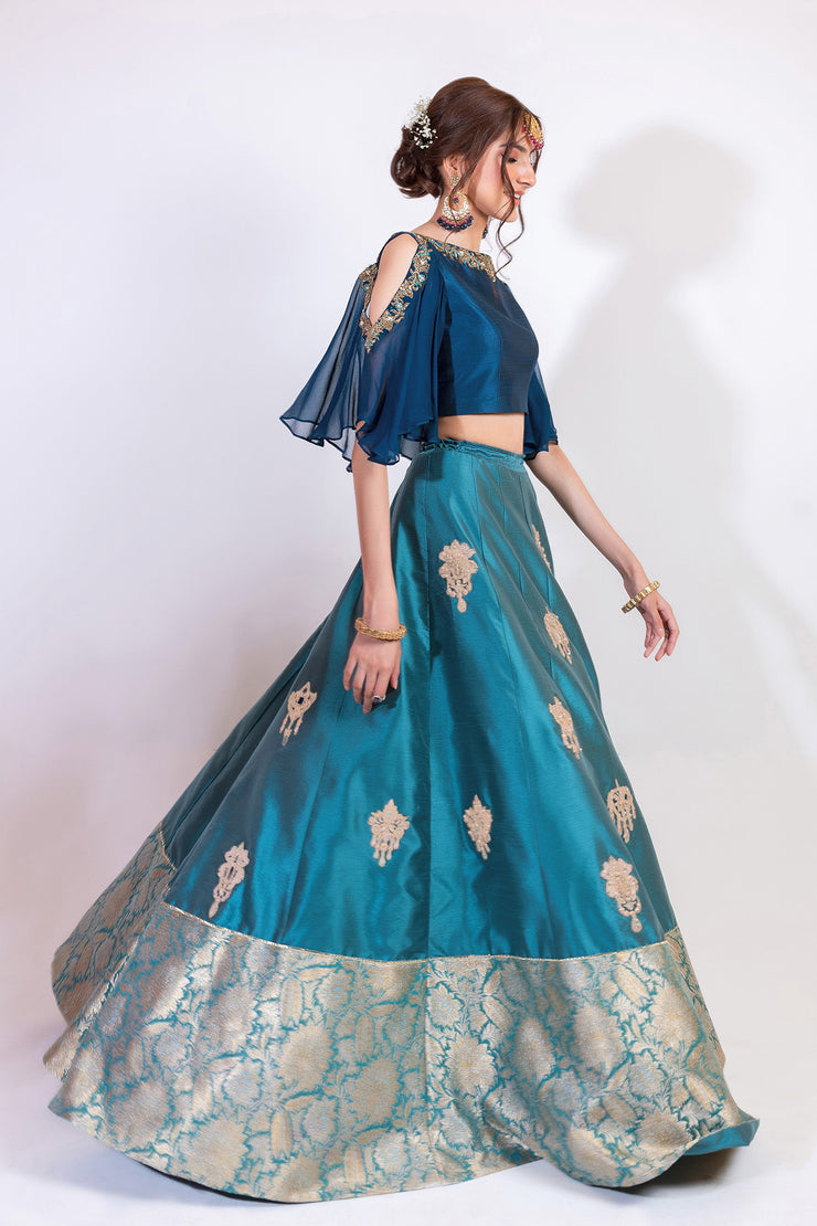 Modern Lehnga Choli (D5)