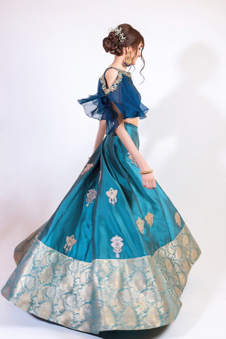 Modern Lehnga Choli (D5)