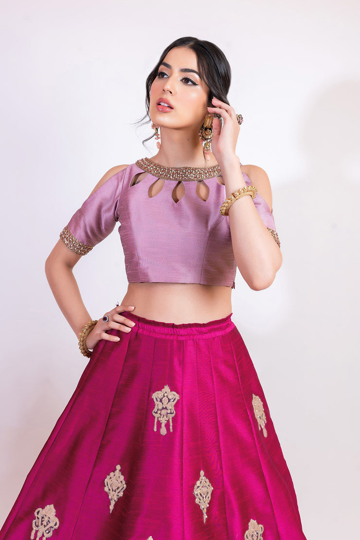 Stylish Lehnga Choli (D7)