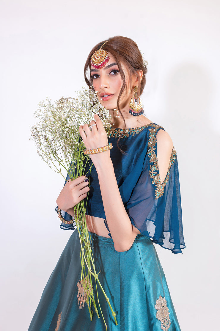 Modern Lehnga Choli (D5)